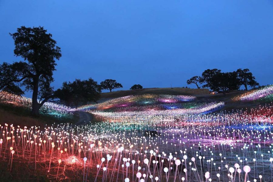 Fields of Light 01